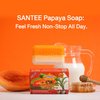 ASANTEE Papaya & Rice Milk with Honey Cleansing Soap 125 Grams (Pack of 3)