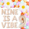 JeVenis Nine is A Vibe Party Decoration Groovy 9th Birthday Decorations Hippie Banner Boho Decor Retro Flower Daisy 60's 70's Theme Party Supplies