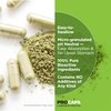 ANDREW LESSMAN Green Tea EGCG 200-30 Capsules – 200 mg EGCG, Powerful Anti-oxidant Support for Healthy Liver Function, Immune, Brain, Heart and Circulatory Systems. No Additives