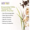 Aura Cacia 100% Pure Sweet Orange Essential Oil | GC/MS Tested for Purity | 15 ml (0.5 fl. oz.) | Citrus sinensis