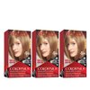 Revlon Permanent Hair Color, Permanent Hair Dye, Colorsilk with 100% Gray Coverage, Ammonia-Free, Keratin and Amino Acids, 61 Dark Blonde, 4.4 Oz (Pack of 3)