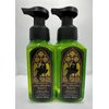Generic Set of 2 Spellbinding Sweets (Halloween Collection) Gentle & Clean Foaming Hand Soap 8.75 Ounce, Green