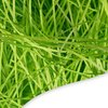 FRILLZ Skinny-Cut Shredded Paper for Gifts & Easter Baskets - Protective, Reusable Paper Shred for Basket Filler - Grass Look (1/2 pound, Lime Green)