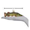 Old World Christmas Ornaments: Pike Glass Blown Ornaments for Christmas Tree