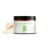Nature Packaged Cocoa Butter (12oz) - Direct from Shea Tree Ghana, our supplier in West Africa - From Natural Cocoa Seeds - Moisturizes & Nourishes - Natural Body Butter 2 Pack