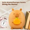 Caaaat Scented Stuffed Plush Toy, Cute Capybara Stuffed Animal with 2 Fresh Orange Scented Microbeads, Squishy Plushies Hugging Plush Decor Pillow for Boys & Girls