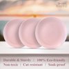 Silver Spoons DISPOSABLE PLASTIC DESSERT PLATES | Opulence Blush | 10 pc - 7.5”