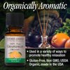 Nature’s Answer USDA Organic Grapefruit Essential Oil, 100% Pure | Natural Aromatherapy Oil for Diffuser/Humidifier, Steam Distilled 0.5 fl oz. (15ml) | Made in USA