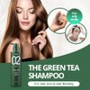 AMOS PROFESSIONAL The Green Tea Shampoo Refresh [For Oily Scalp] 17.6oz (500g) | Anti-Hair Loss & Hair Growth Shampoo for Cleanse Excess Sebum and Hair Growth | Korean Hair Growth Shampoo