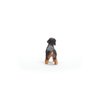 Schleich Farm World New 2024 Farm Animal Toy Wire Haired Dachshund Dog Toy Figurine
