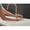 Delta Faucet RP100734CZ Trinsic Metal Soap Dispenser, Champagne Bronze
