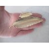 Generic Gold or silver leaf metal hair claw clip jaw clip (Primary color: Silver), 1 Count (Pack of 1)