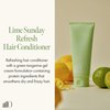 ANILLO Lime Sunday Refresh Hair Conditioner 150ml / 5.07 fl. Oz, Daily Vegan Hair Care with Green Tangerine Extract, Protein Complex, Ceramide for Oily Scalp, Paraben Free