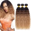 20 22 24 Inch Ombre Bundles Human Hair T1B/4/27 Kinky Curly Bundles 3 Tone Brown and Honey Blonde Bundles Brazilian Grade 8A Virgin Human Hair Extensions Ombre Brown Kinky Curly Bundles
