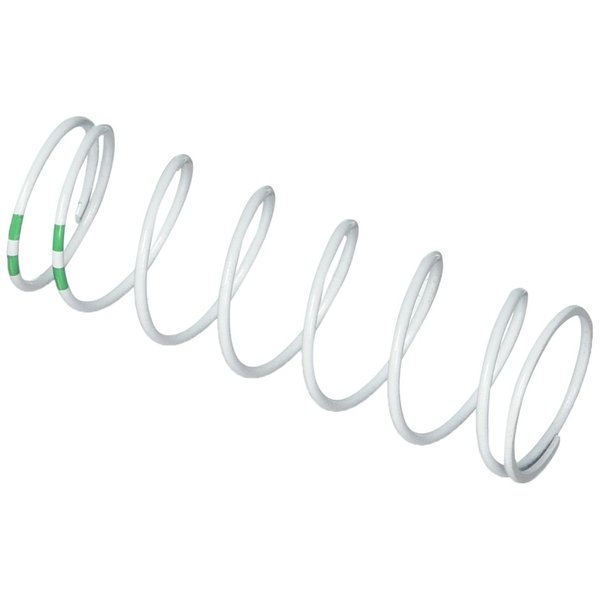 Traxxas XX-Long White GTR Shock Spring Vehicle