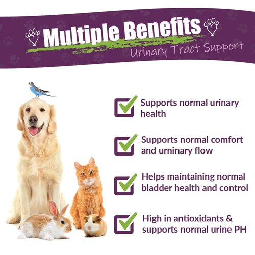 AMBER NATURALZ UTR Urinary Tract Herbal Supplement for Dogs, Cats, Birds, Guinea Pigs, and Rabbits | Pet Herbal Supplement for Bladder Support | 1 Fluid Ounce Glass Bottle | Manufactured in The USA