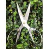 Horsvill Indoor Plant Shears Garden Scissors, Houseplant Shears Made of Japan SK5 Stainless Steel, Flowers Herbs and Plant Cutters, Clippers, Trimmers, Loppers, Bonsai Potted Plant Pruning Scissors