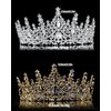 Tiaras for Women, Crystal Crowns for Women, Gothic Crown Halloween Tiara Crown, Queen Crown, Black Wedding Tiara, Gothic Halloween Costumes for Women Prom Halloween Accessories（2 PCS）