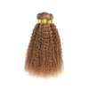26 28 30 Inch Honey Blonde Bundles Color #27 Kinky Curly Human Hair Bundles Brazilian Unprocessed Virgin Hair Color #27 Bundles Human Hair Honey Blonde Curly Bundles Hair Weave Blonde Bundles