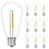 10 Pack LED Edison Light Bulbs, 0.6 Watt Shatterproof Dimmable Replacement Bulbs ST40 Clear Plastic Light Bulbs for Outdoor Patio String Lights, E17/C9 Intermediate Screw Base Bulb, Warm White