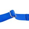 GOGO Pet Products 3/8-Inch Martingale Dog Collar, X-Small, Blue