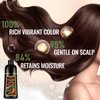 Dark Brown Hair Dye Shampoo 3 in 1, 100% Gray Hair Coverage in Minutes, Instant Hair Color Shampoo for Women & Men, Natural Plant Bubble Shampoo Hair Dye, Champu Con Tinte Para Canas - 16.9 Fl Oz