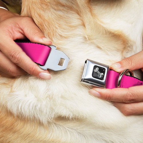 Dog Collar Seatbelt Buckle Neon Pink 16 to 23 Inches 1.5 Inch Wide