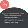Allergy Research Group Astaxanthin 12mg Supplement - from Organic Microalgae, Eye Health, AstaZine Astaxanthin, Natural Antioxidant, Skin Health, Brain Function Support, Softgels - 60 Count