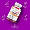 (2 Pack) Rapid Ripped Max+ ACV Gummies, Higher Potency, Official RapidRipped Max+ Gummies, 2X Stronger Apple Cider Vinegar Gummy, 2 Month Supply