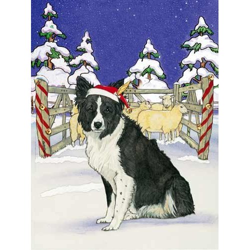 Border Collie Christmas Cards Santa's Cap : 10 Holiday Cards with Envelopes