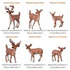 Flormoon Deer Toys - 6pcs Realistic Deer Woodland Animals Figurines - Early Educational Toys, Birthday Cake Topper for Kids