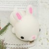 squishies Squishy Toy 5Pcs Medium Size 3inch Party Favors for Kids Kawaii squishies Mochi Animals Stress Reliever Anxiety Xmas Gifts Rabbit Toy Storage Box
