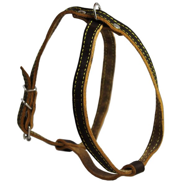 Real Leather Dog Harness, 12"-16" Chest size, 1/2" Wide, Yorkshire Terrier, Pomeranian