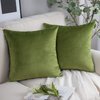Phantoscope Pack of 2 Velvet Decorative Throw Decorative Pillow Cover Soft Solid Square Cushion Case for Couch Green 18 x 18 inches 45 x 45 cm