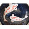 2 PCS. Japanese 3.5"D Soy Sauce Dishes NISHIKI KOI Fish Ceramic /Make Japan
