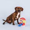 Fringe Studio Plush Dog Toy Set, Interactive Hide and Seek Play, A Sweet Surprise, Pet Shop Collection (289247)