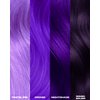 Lunar Tides Semi-Permanent Hair Color (43 colors) (Nightshade, 4 fl. oz.)