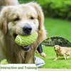 KOL Dog Plush Toys Dog Chew Toys Pet Squeaky Toys with Crinkle Paper, Interactive, Chewing and Durable Toys for Puppy Dogs and Medium Dogs. (Ball Green)