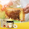 2pcs Bee Venom Treatment Cream, New Professional Bee Venom Repair Cream, Bee Venom Cream for All Body Parts