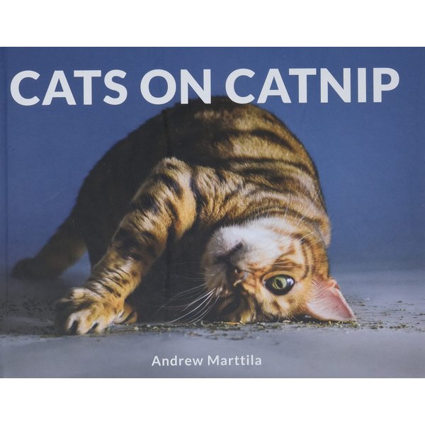 Cats on Catnip