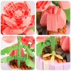 LACHLAND Mini Building Block Flower Toy for Kids 317 Pcs, Cute Artificial Plant Flowers Building Blocks for Home Office Decor, Birthday Gifts, Desktop Trinkets Aged 3 4 5-9 Years Old