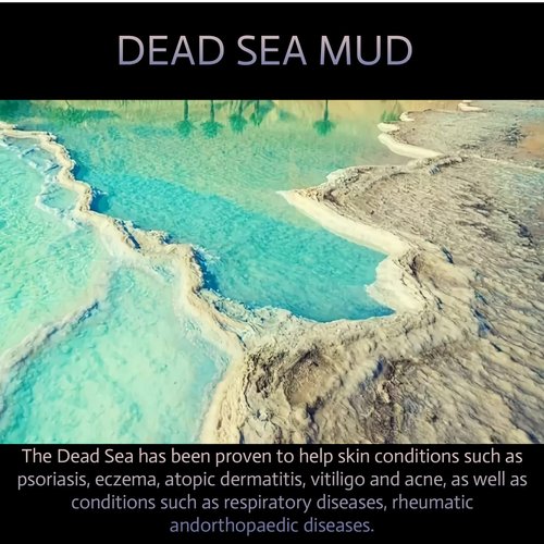 VIGDERMA Dead Sea Mud Mask for Face and Body - Spa Quality Pore Minimizer for Acne, Beauty Face and Skin, Natural Skincare for Women, Men - Tightens Skin, Facial Skin Care Face Mask - 8.8 oz