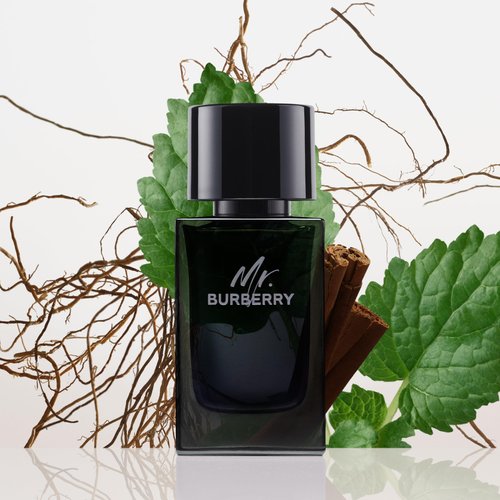 BURBERRY Mr. BURBERRY Eau de Parfum, 1.6 Fl oz