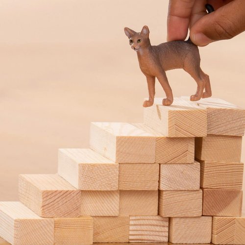 Schleich Farm World New 2023, Cute Farm Animal Toys for Kids and Toddlers, Abyssinian Cat Toy, Ages 3+