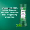 Suave Shampoo and Conditioner Set, Rosemary & Mint - Invigorating Rosemary Mint Clarifying Shampoo & Conditioner, Hair Strengthening, Scented, 12.6 Oz Ea (2 Piece Set)