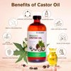USDA Certified Organic Castor Oil Cold Pressed Unrefined 100% Pure in Glass Bottle - Natural Oil, Sore Muscle Massage Oil - Hexane Free for Skin, Hair Nail Eyebrows Growth -16 Fl Oz