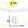 Scorpio Baby Birthday Banner, Zodiac Scorpio Season Bunting Sign, Horoscope/Astrology Birthday/Baby Shower Party Decorations Supplies, Silver Glitter