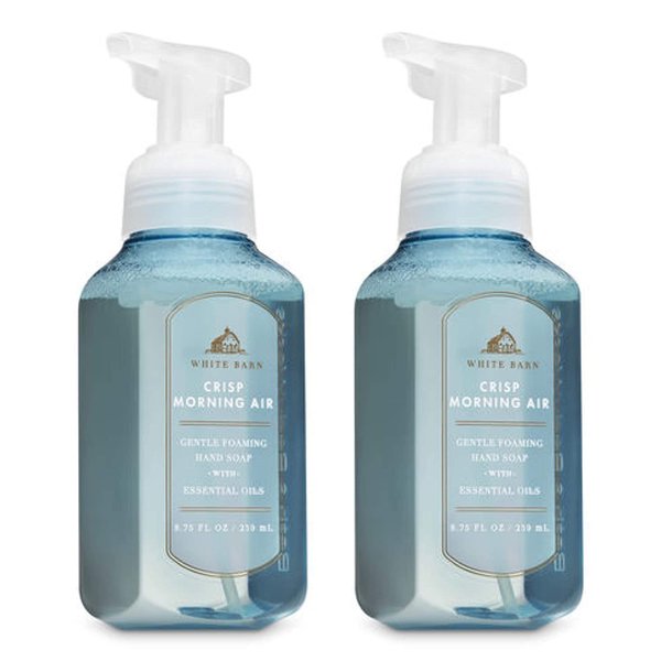 Bath and Body Works 2 Pack Crisp Morning Air Gentle Foaming Hand Soap. 8 Oz