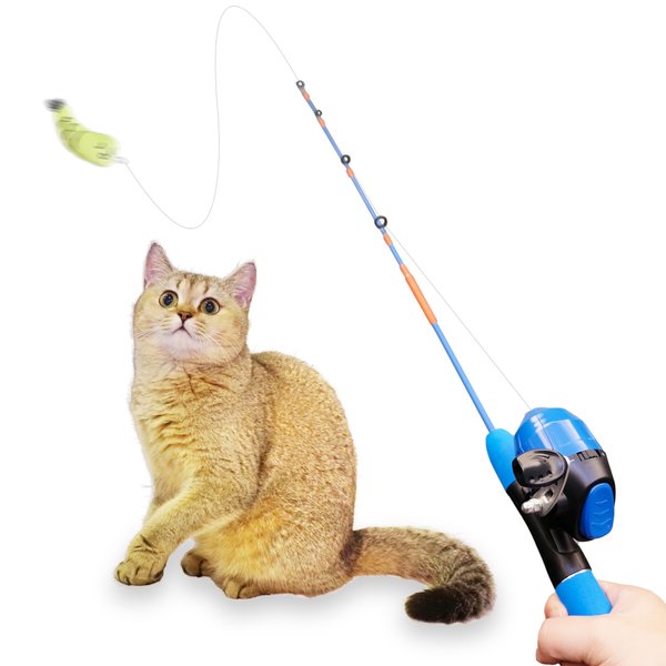 AGGER Cat Casting Fishing Pole Toy, Cat Casting Toy Set, Interactive Toy for Cats, Tangle-Free Design, Cat Toy for Indoor Outdoor Cats