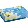 Finetouch Soft Facial Tissues 2 Ply Box Of 130 Pack of 6 (780 Facial Tissues Toatal) Family Pack (6) Design may Vary